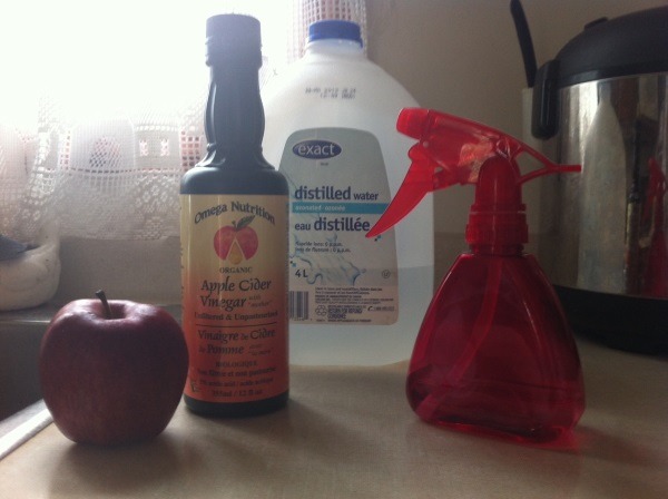 Apple Cider Vinegar Face Toner for Eczema and Sensitive Skin