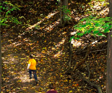Importance of Outdoors Physical Activity (PA) & the Sun. All linked to Eczema?