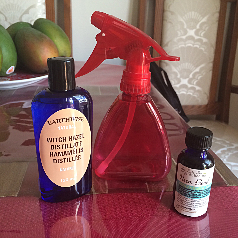 Homemade Mosquito/Insect Repellent for Eczema Sufferers and Sensitive Skin (deet free)