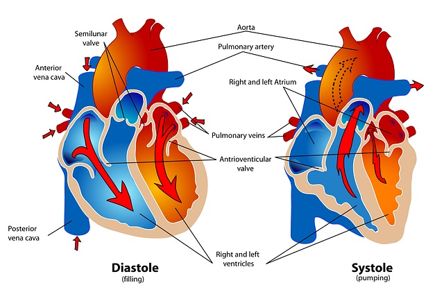 Eczema is the marker for Cardiovascular Health Risk Factors: How to FIGHT IT!?