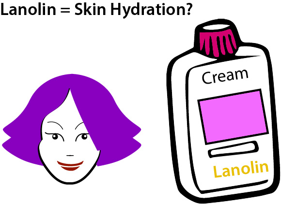 Uses of Lanolin Ingredient in Creams and its possible side effects