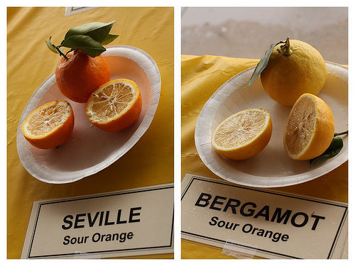 Sour orange by La.Catholique, on Flickr