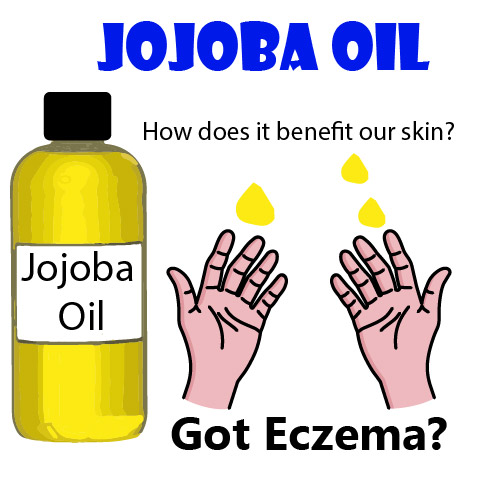 Jojoba Oil 101: Is it Good for the Skin or Eczema?