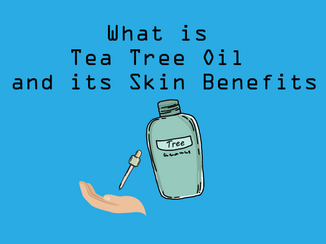 What is Tea Tree Oil and its Skin Benefits