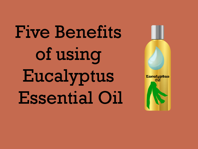 Five Benefits of using Eucalyptus Essential Oil