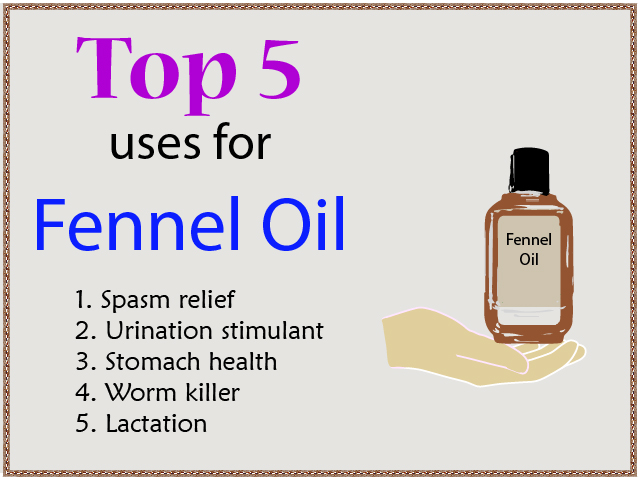5 Benefits of Fennel Oil