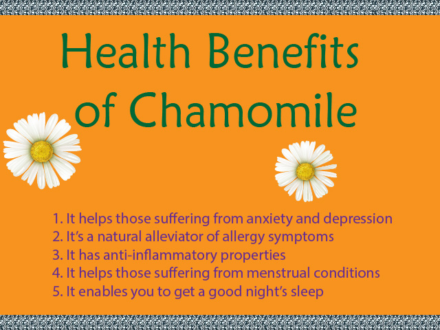 5 Amazing Health Benefits of Chamomile