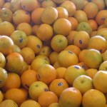 oranges